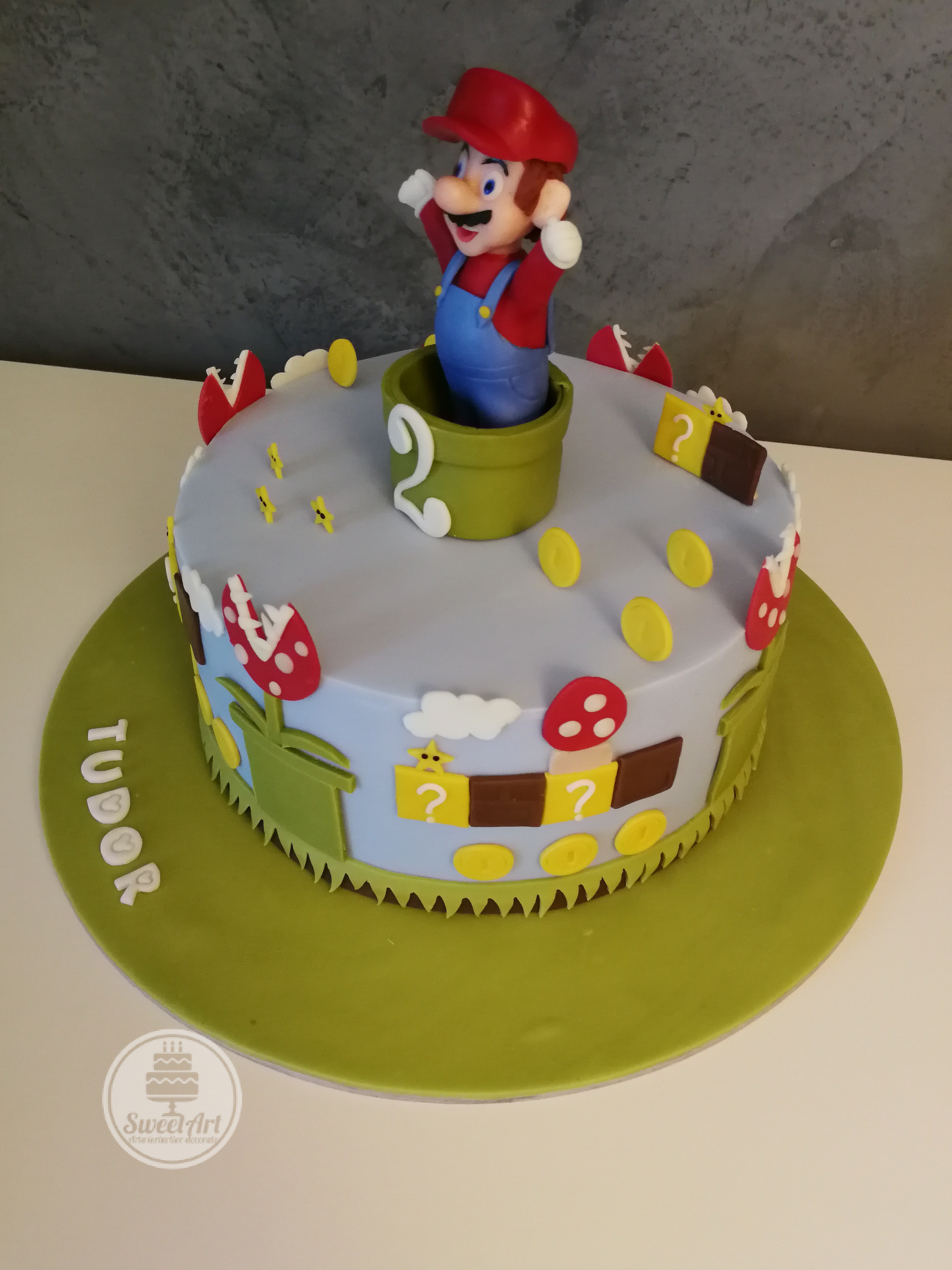 Tort Mario, joc video, conducte cu flori/plante carnivore, cărămizi, ciupercuțe, bănuți, steluțe, nori, norișori, pământ, iarbă